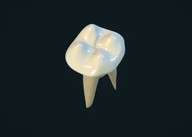 Схематическая 3D-модель, не скан пациента